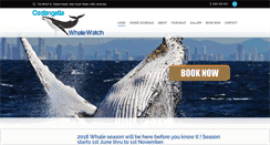 Desktop Screenshot of coolangattawhalewatch.com.au