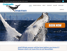 Tablet Screenshot of coolangattawhalewatch.com.au